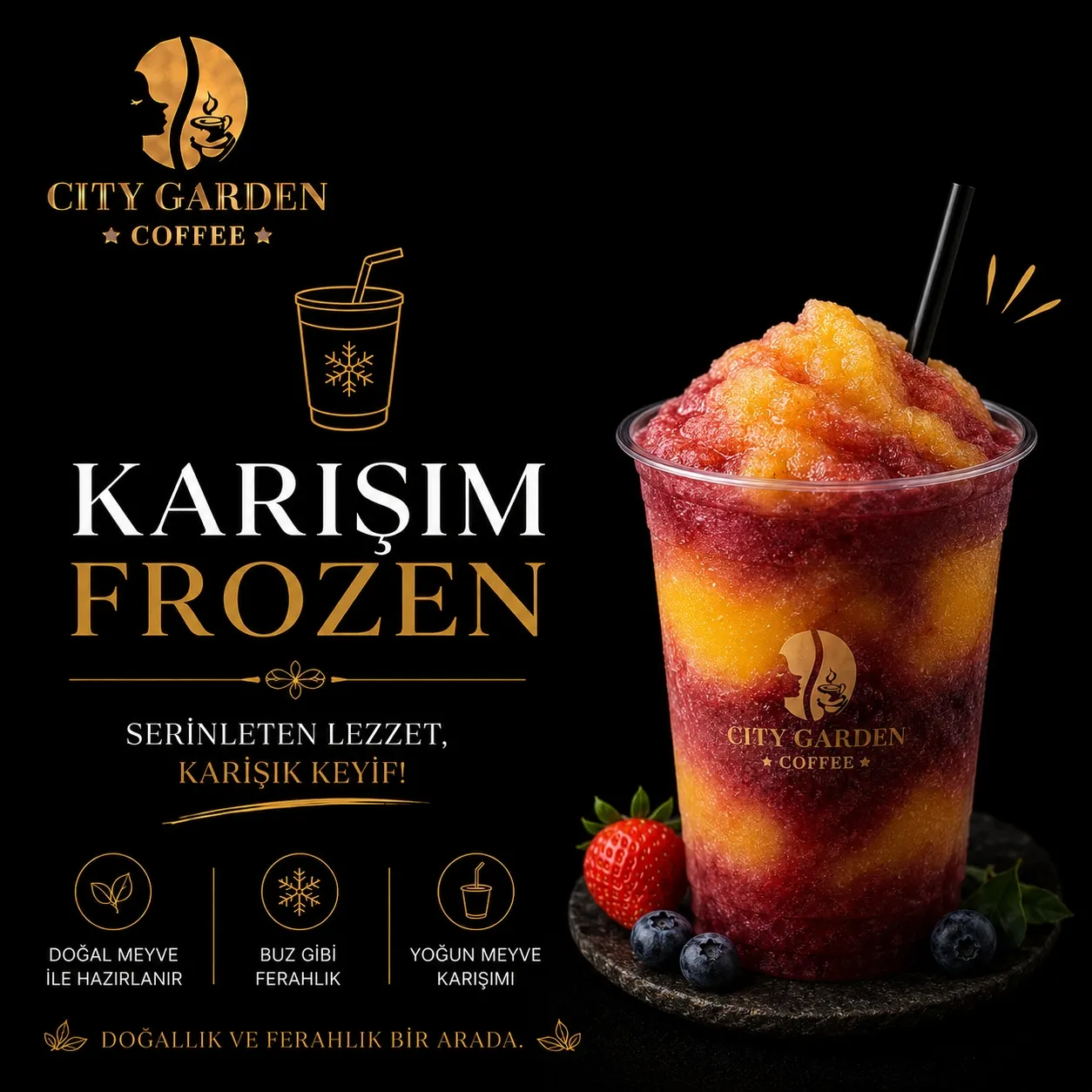 KARIŞIK FROOZEN